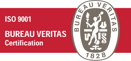 iso 9001 big